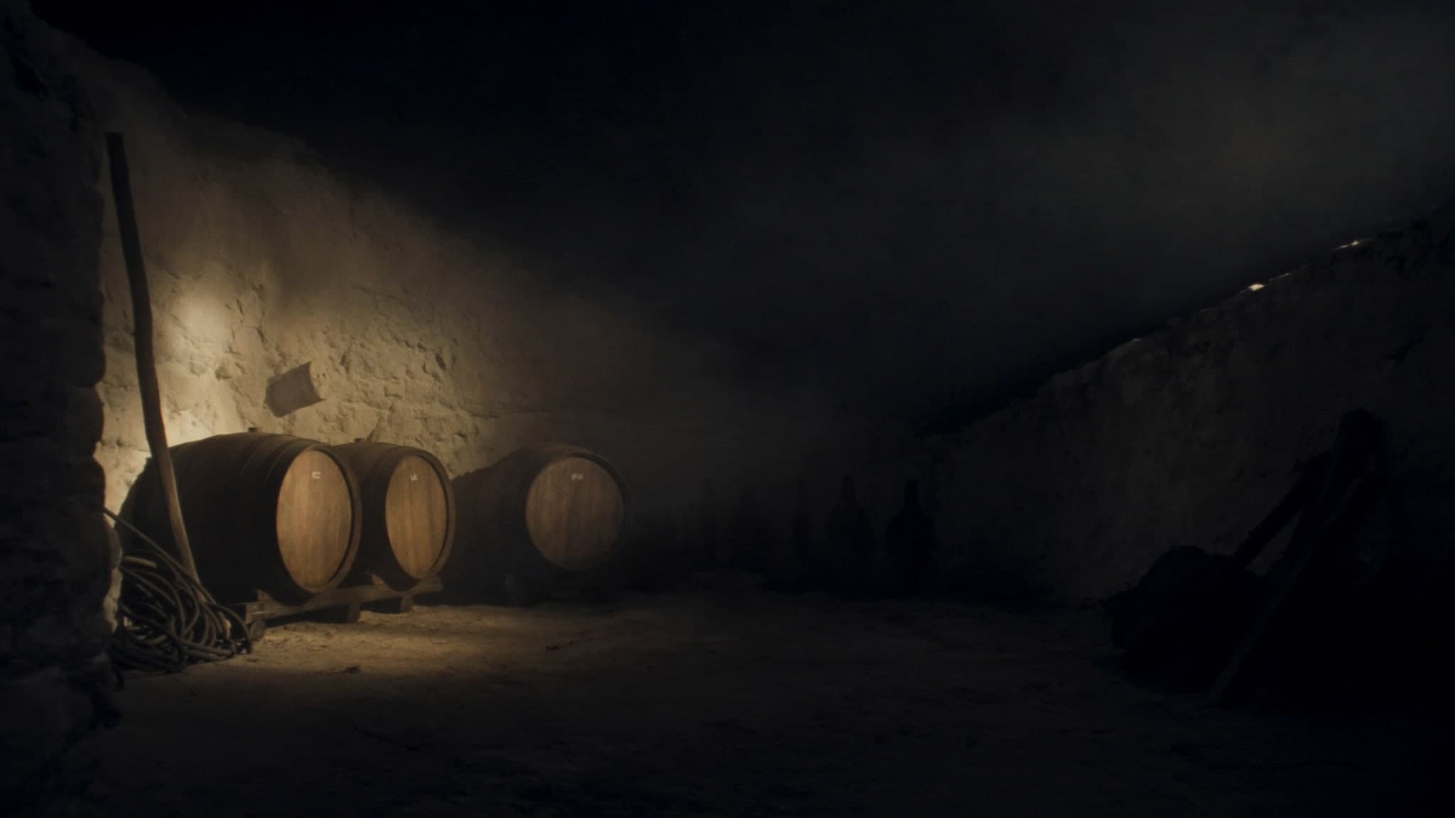 Botti di rovere in penombra dentro una cantina di pietra